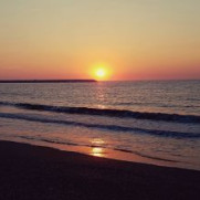 درخواست رسیدگی مسالمت‌آمیز به مطالبات و اعتراضات مردمی